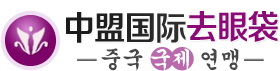 北京高(gāo)端網站(zhàn)建設公司-中盟國際美(měi)容院