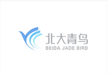 北京高(gāo)端網站(zhàn)建設公司-北大(dà)青鳥